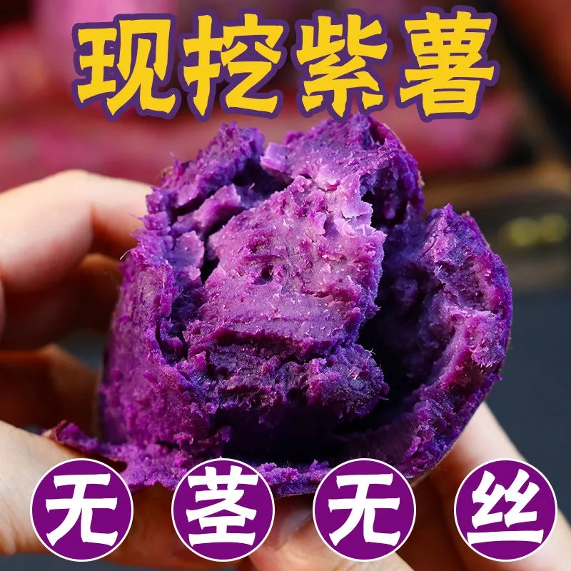 现挖紫薯9斤新鲜紫罗兰农家自种珍珠板栗紫薯紫色红薯地瓜小番薯