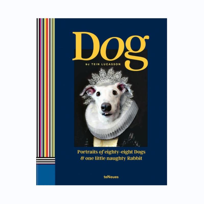 预售 Dog: Portraits of Eighty-Eight Dogs and One Little Naughty Rabbit狗:八十八只狗和一只淘气的小兔子