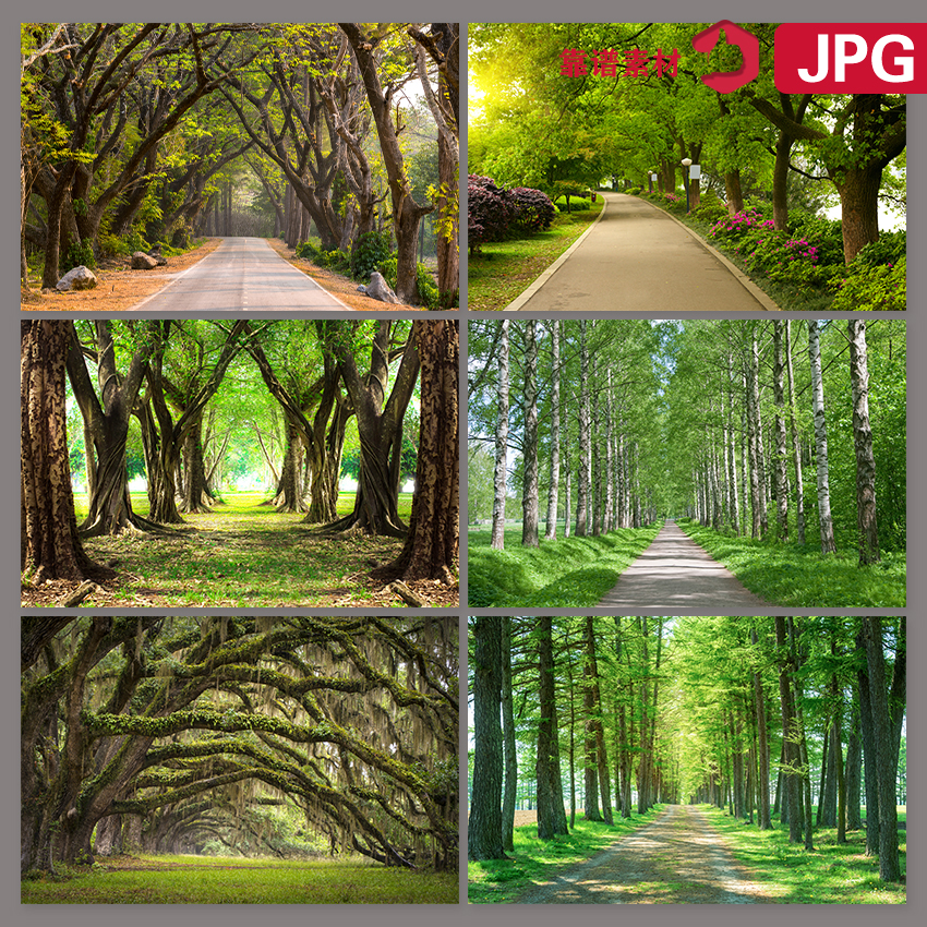 高清装饰画树林风景优美的林荫小路小道图片素材