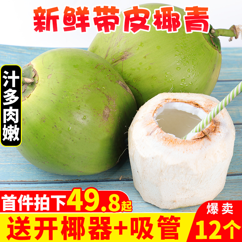 海南带皮椰青新鲜椰子12个装大青椰嫩椰热带水果孕妇椰汁椰皇整箱