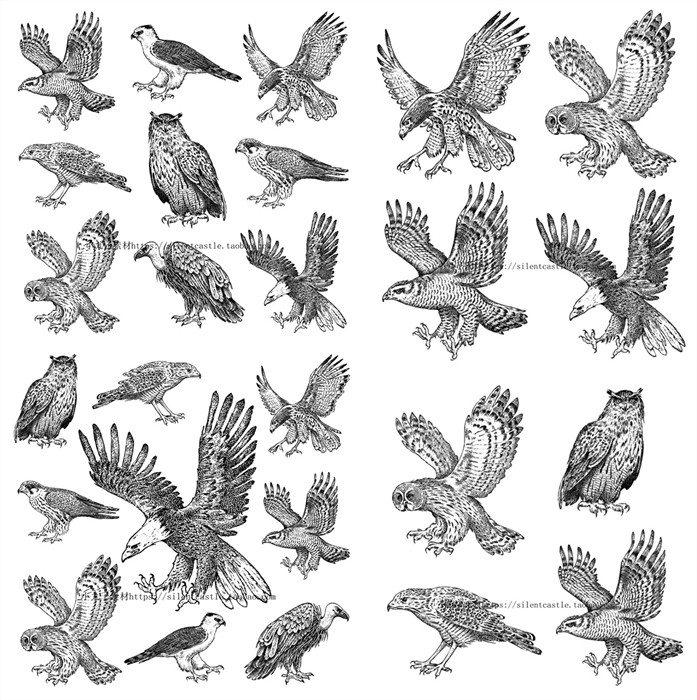 A0820矢量AI设计素材 速写素描鸟类翅膀老鹰猫头鹰猛禽线稿形态图