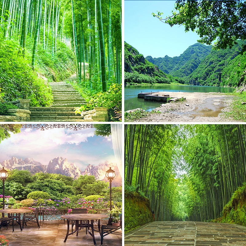 山水竹子风景图片