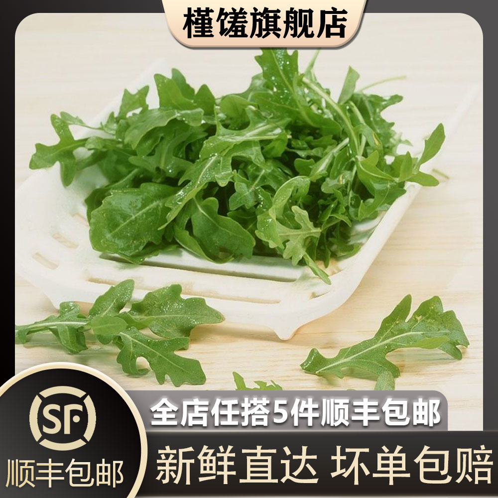 【槿馐】芝麻菜500g 火箭菜生菜新鲜蔬菜西餐沙拉食材