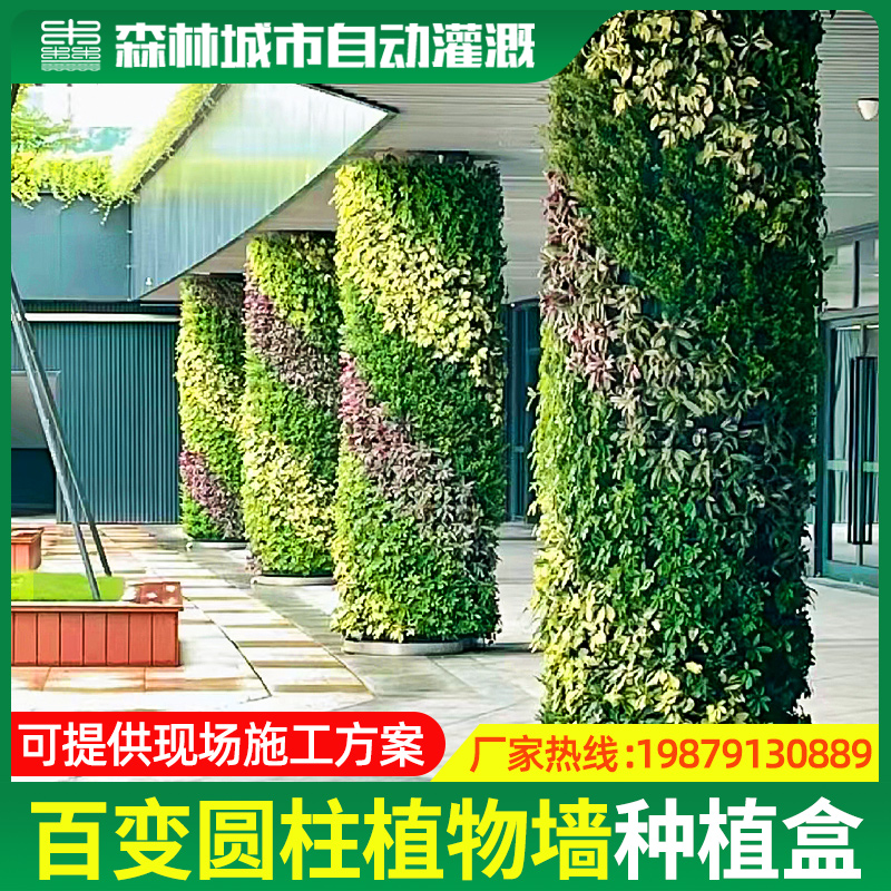 圆柱植物墙蜂巢种植盒环形弧形绿植墙包柱花盆容器垂直绿化种植槽