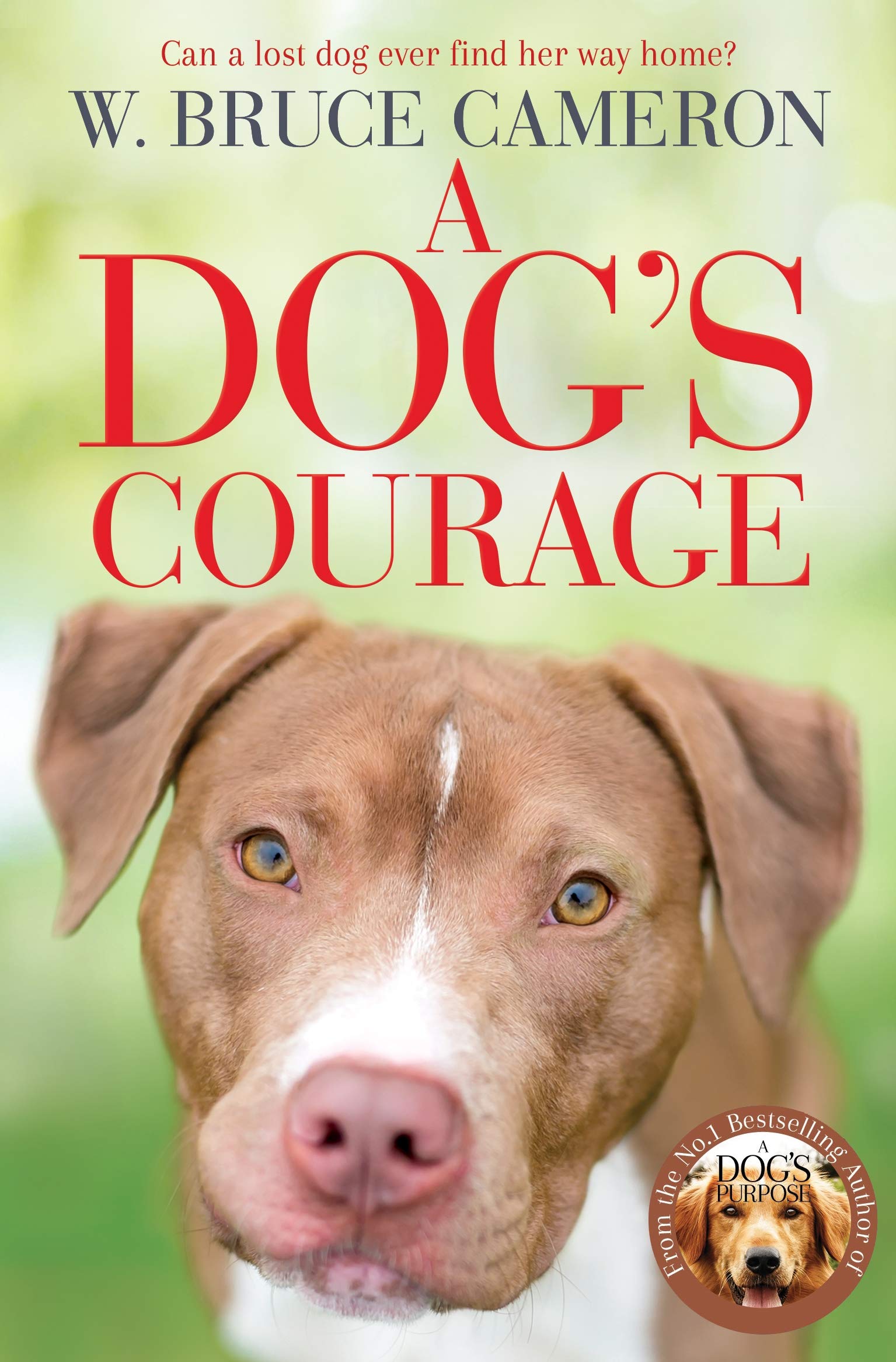 英文原版 狗狗的勇气 一条狗的回家路续集 W·布鲁斯·卡梅伦 温情宠物小说 A Dog’s Courage