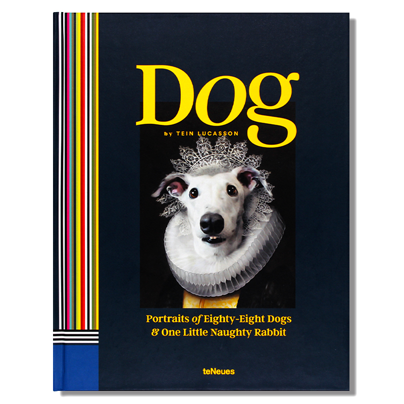 现货 Dog 狗 八只狗和一只淘气小兔子的画像 捕捉狗狗动物穿着人类服装肖像图像 高质量数码摄影画册 英文原版