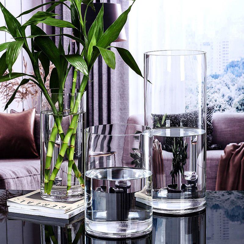 富贵竹绿植水养大号玻璃透明花瓶摆件客厅插花ins风宽口网红水培