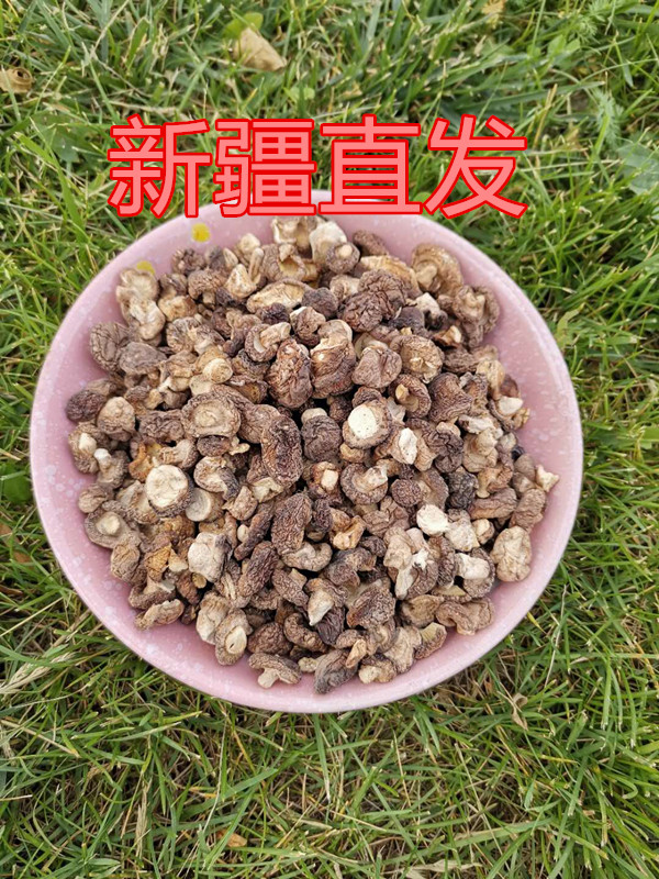 新疆土特产野蘑菇珍珠菇炖鸡煲汤拌面农家小香菇野生菌500克干品