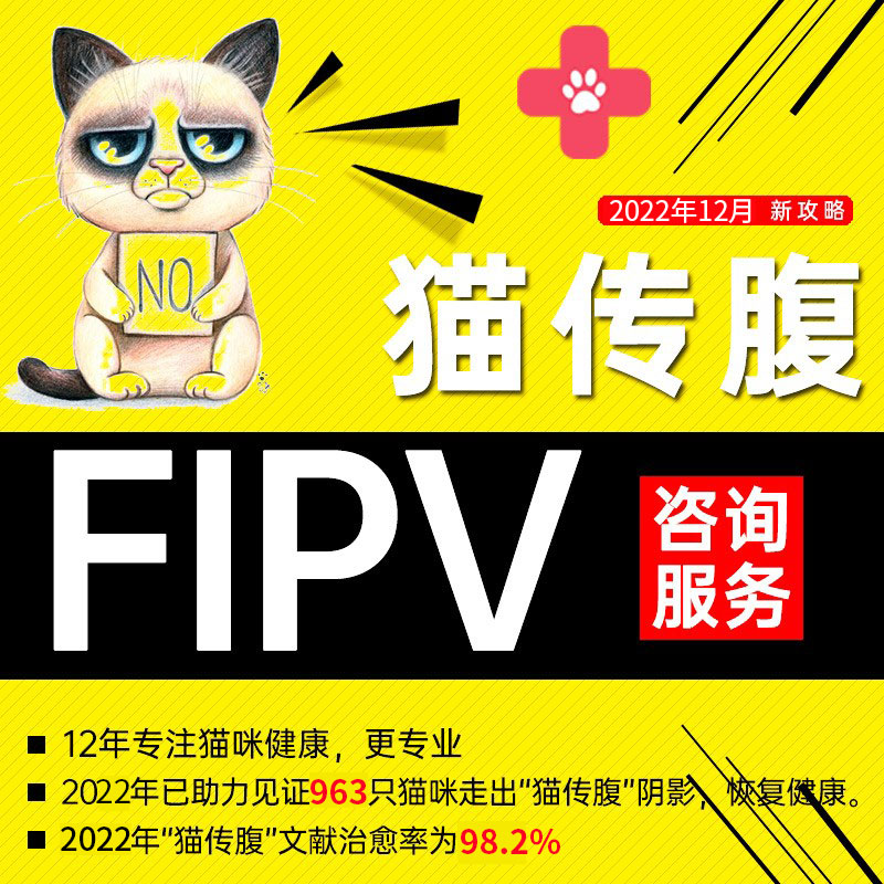 猫传腹干性湿性传腹猫大肚子腹水FIPV抑制剂咨询口服片剂油性针剂