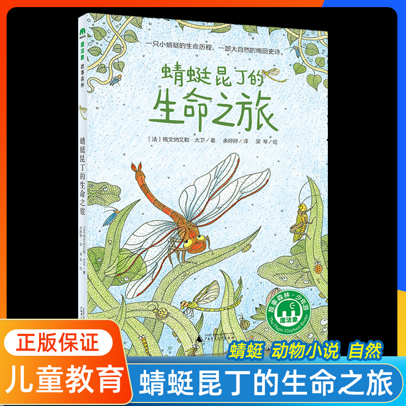 蜻蜓昆丁的生命之旅 魔法象故事森林系列 小学生三四五六年级课外阅读书籍 现代儿童文学励志图画故事书 昆虫 动物小说 自然小说