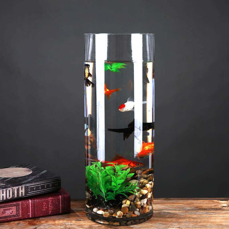 玻璃鱼缸客厅小型圆柱体简约金鱼缸造景直筒家用简易养鱼观赏鱼