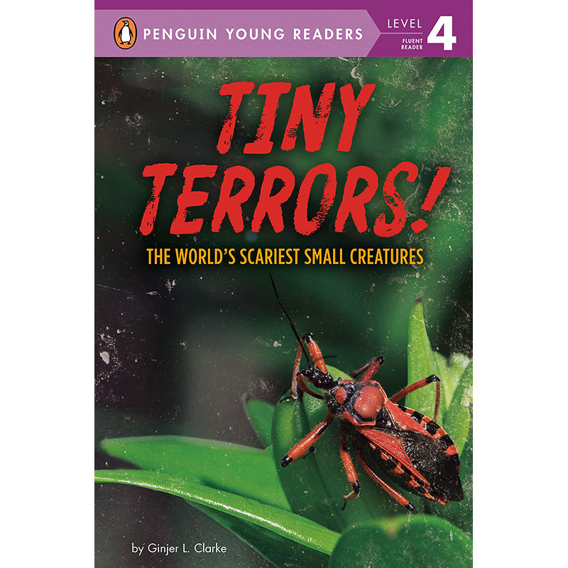 【预售】英文原版 Tiny Terrors 微小的恐惧 Penguin Ginjer L.Clarke 了解世界上*小和*可怕的动物摄影绘本儿童科普书籍