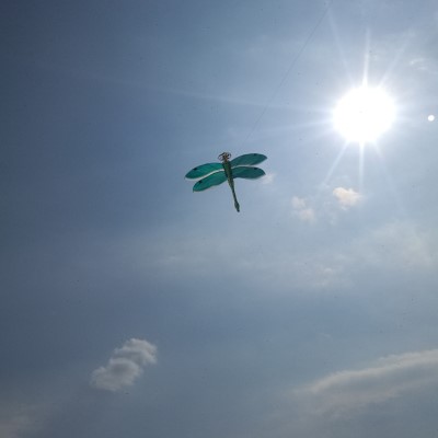 大蜻蜓风筝包邮传统竹风筝立体软翅风筝1米3好飞潍坊风筝可折叠