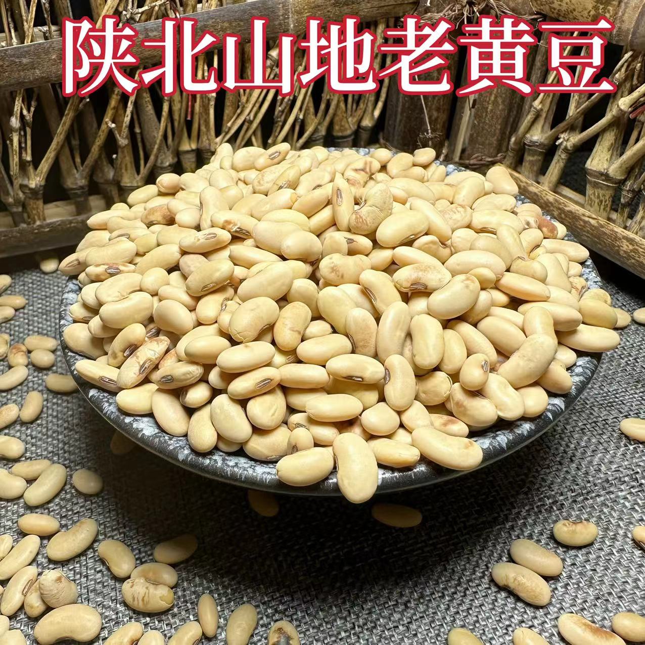 2023年陕北黄豆农家自种 磨豆腐 肾形黄豆发豆芽打豆浆 土黄豆