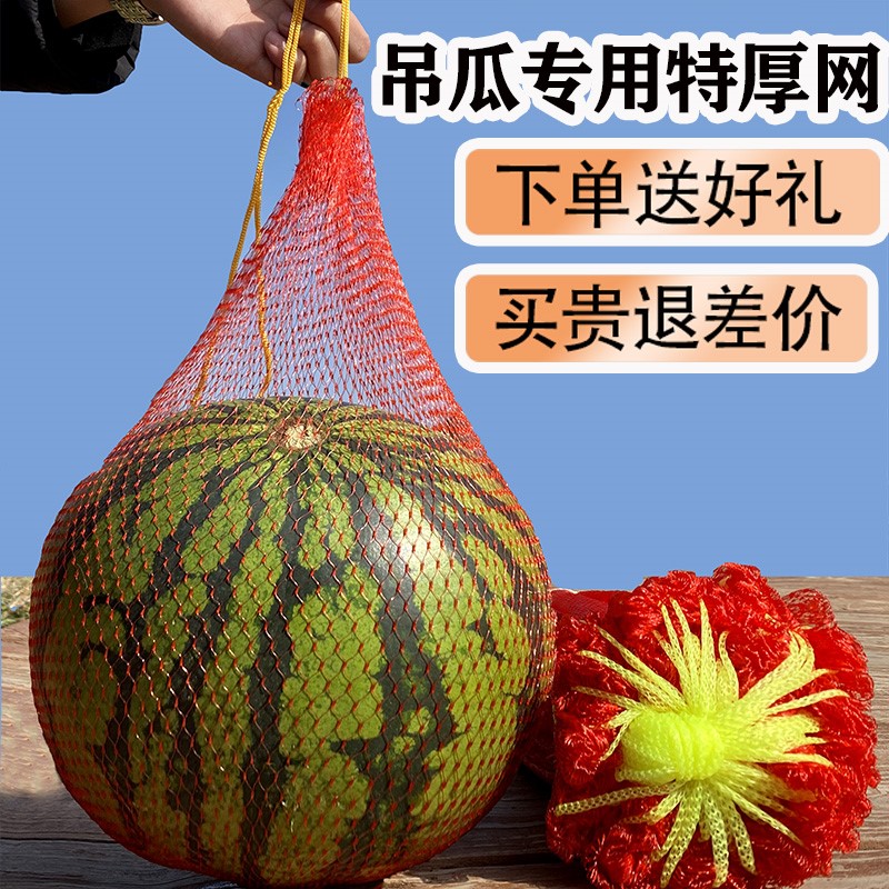 新品装西瓜的袋子姜大蒜头网袋套袋专用袋摘果赶海螃蟹网兜袋网带