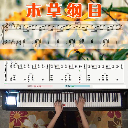 本草纲目(周杰伦)五线谱简谱钢琴教学课程 悠秀