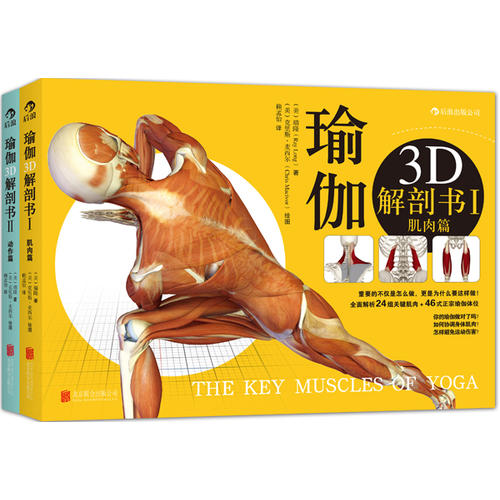 瑜伽3D解剖书全套2册 动作篇+肌肉篇 释肌肉运作与瑜伽体式之间的交互影响瑜伽教程书 基础瑜伽拉伸教程零基础初级入门 瑜伽解剖学