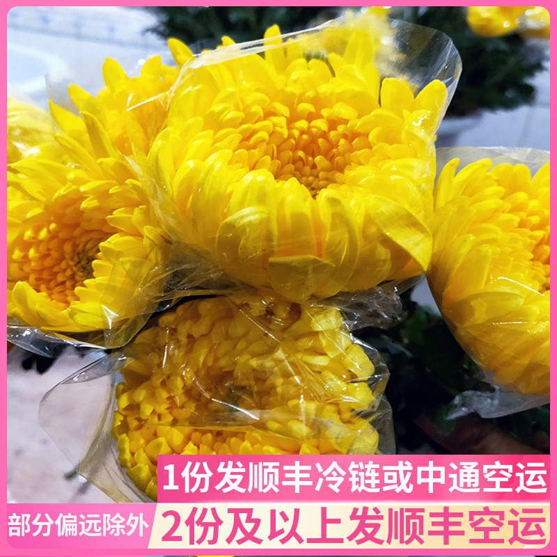 清明节扫墓菊花图片