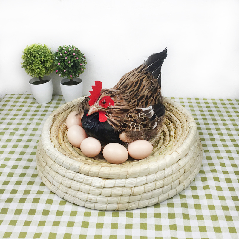 仿真母鸡摆件动物标本模型下蛋母鸡超市美陈直播间装饰招财工艺品