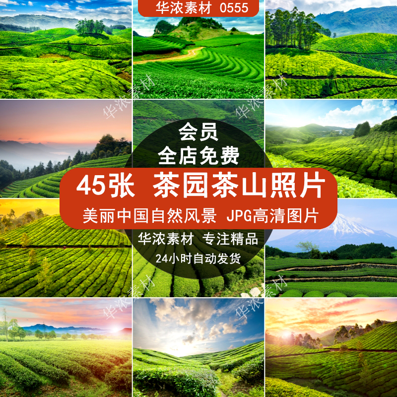 茶园茶山茶叶有机绿茶梯田高清自然风景JPG图片喷绘打印合成素材