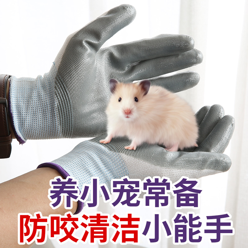 宠物松鼠仓鼠防咬手套儿童小孩学生可爱防抓手套用品抓仓鼠的工具