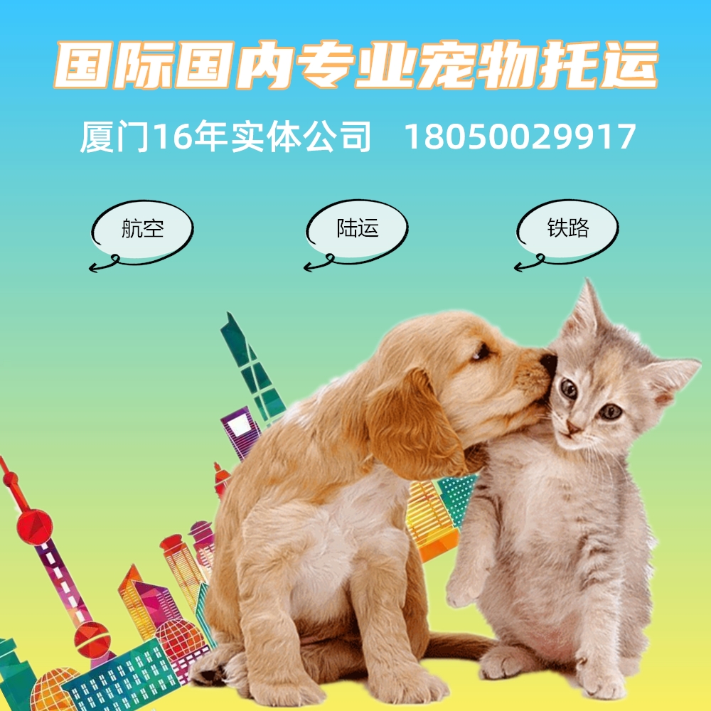 厦门河南上海南昌全国宠物托运服务猫狗快递汽运铁路狗狗随机国际