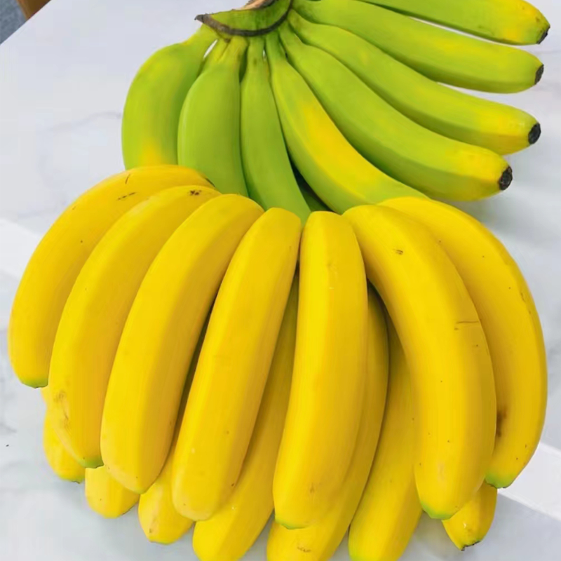 【云南香蕉】威廉斯香蕉现摘自然熟大香蕉现砍现发新鲜当季整箱