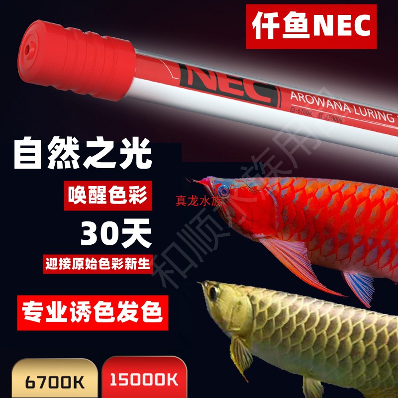 仟鱼三基色日本nec龙鱼专用发色灯增色鱼缸灯红龙金龙鱼灯潜水灯