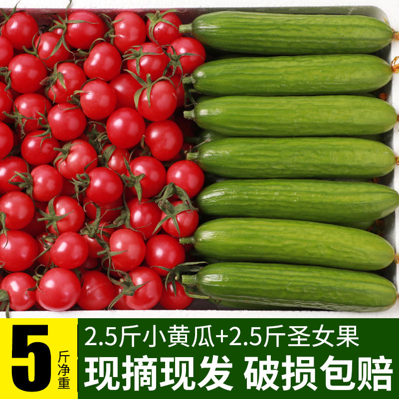 圣女果小黄瓜青瓜樱桃小番茄新鲜西红柿子千禧水果生吃自然熟5斤