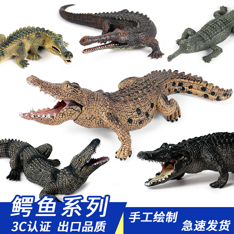 仿真鳄鱼模型野生大号帝王鳄长吻鳄野猪鳄儿童玩具塑胶认知动物园
