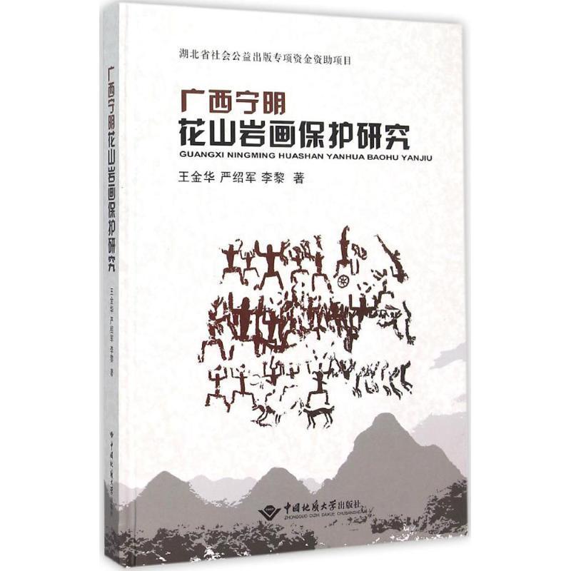 广西宁明花山岩画保护研究书王金华  艺术书籍