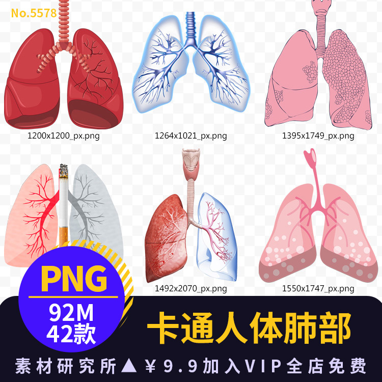 卡通手绘肺部人体器官肺叶呼吸系统透明背景免抠png免扣设计素材
