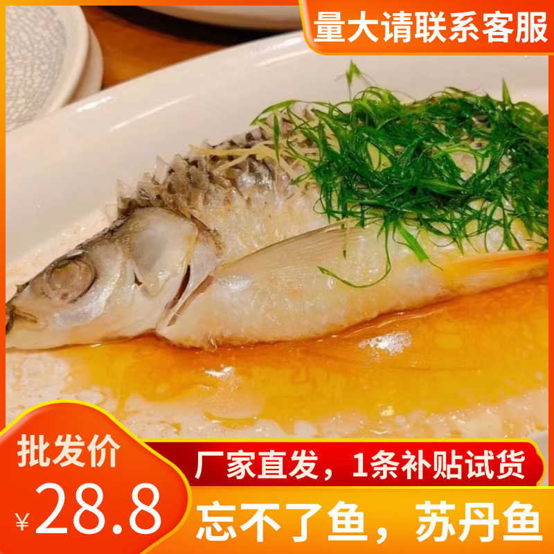 马来西亚忘不了鱼鲜活冷冻苏丹鱼皇帝鱼开背淡水鱼酒店餐厅商用