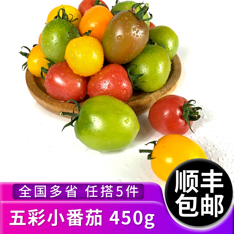 新鲜五彩小番茄450g 彩色小西红柿酸甜小番茄圣女果 满5件包邮