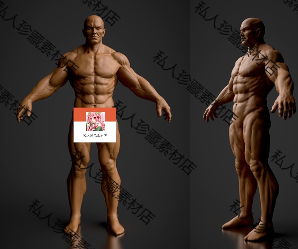 zbrush男性人体解剖基础肌肉腹肌腿部头部雕刻3D模型可打印ztl