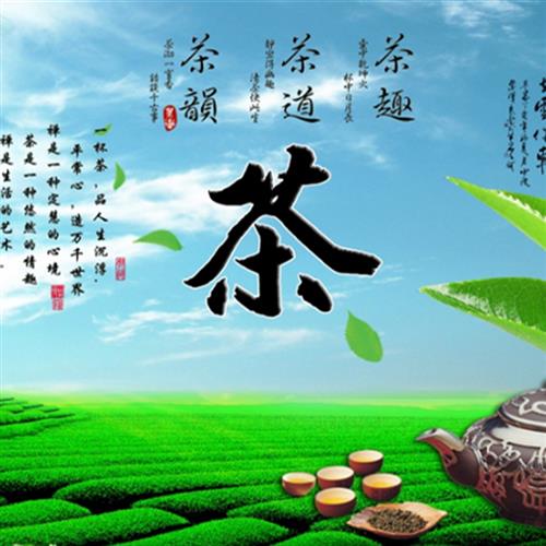 茶道绿色茶山装饰画壁布茶字茶文化G茶园装饰背景墙禅意茶馆壁纸
