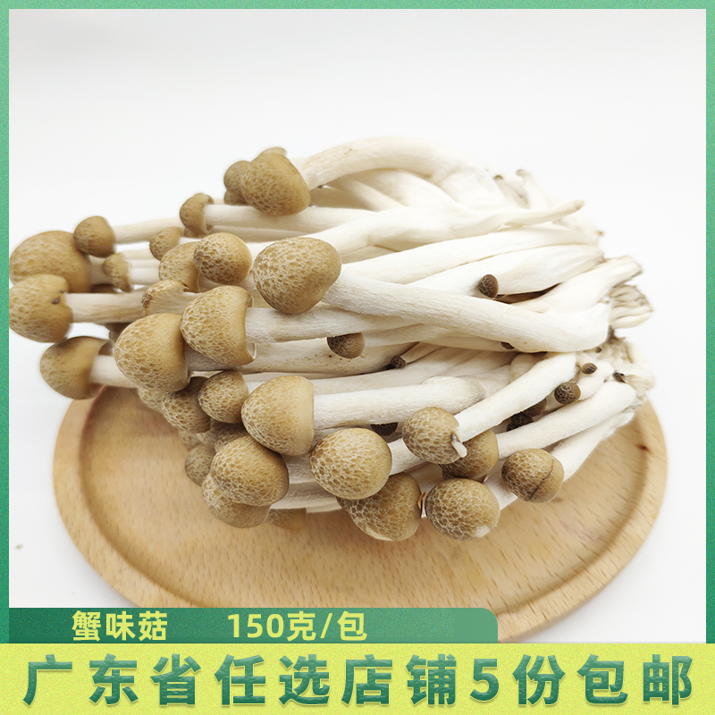 新鲜菌菇 真姬菇 蟹味菇  火锅酸涮菜蘑菇 可食用菌 每包约150克