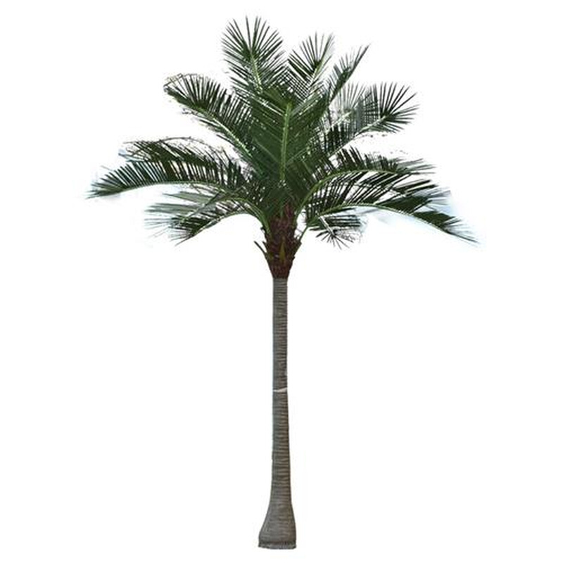 大型仿真椰子树造景室内外椰子树大王椰海边酒店人造大树棕榈树