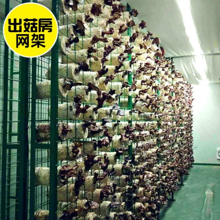 蘑菇养殖网架平菇种植架大棚蘑菇架食用菌栽培架温室蘑菇包塑网格
