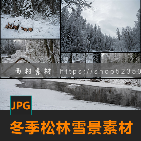 冬季松林冰冻雪景CG绘画参考园林艺术PS场景素材matte painting
