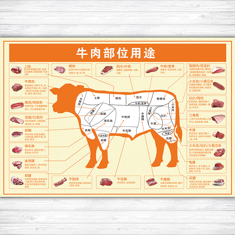 牛肉部位用途分割分解图墙贴超市生鲜海报火锅店墙面背景贴纸663