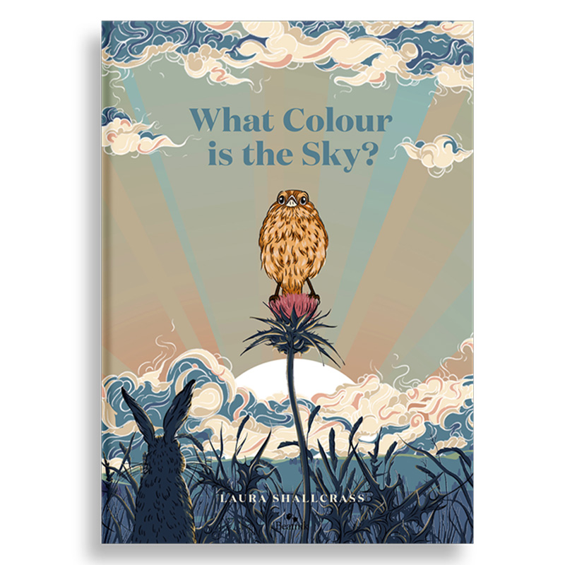 【现货】What Colour Is The Sky，天空是什么颜色的 英文原版图书进口正版 3-6岁知识启蒙创造想象力 童书艺术绘本