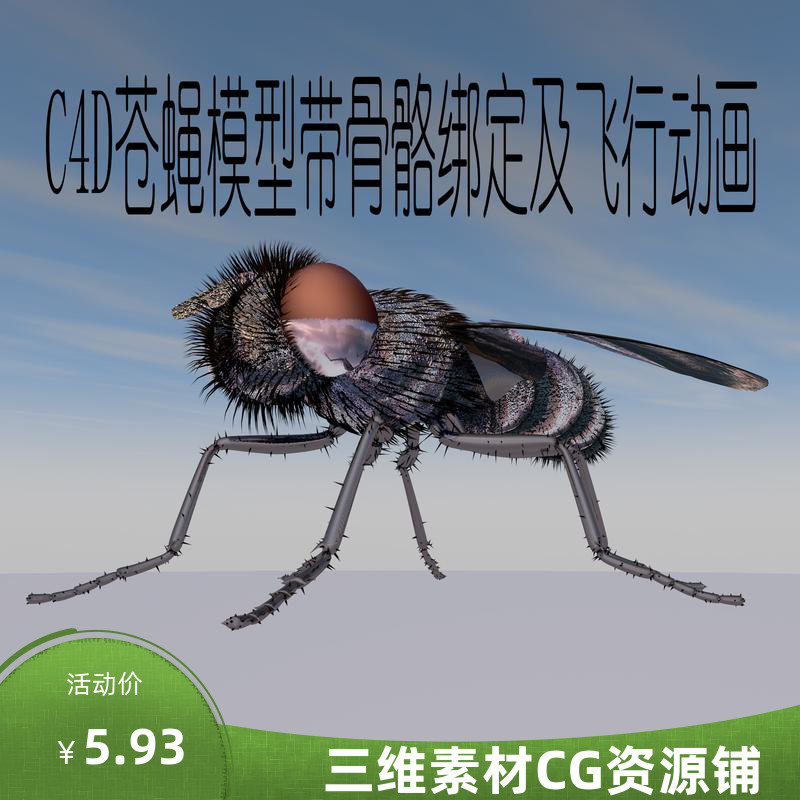 C4D苍蝇模型C4D昆虫模型C4D骨骼绑定C4D动画模型