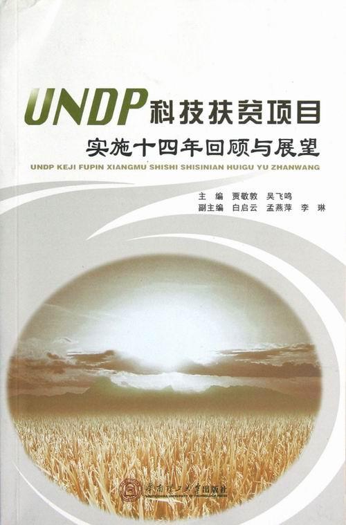 正版包邮 UNDP科技扶贫项目实施十四年回顾与展望 贾敬敦 书店经济 书籍 畅想畅销书
