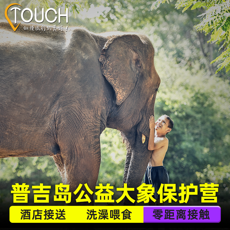 普吉岛半日游绿洲大象公益保护营奈迪可巧保护不骑大象一日泰国游