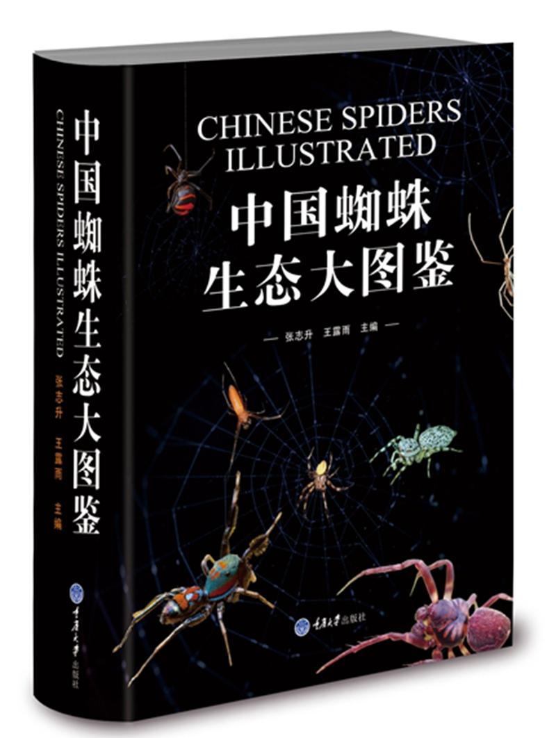 书籍正版 中国蜘蛛生态大图鉴 张志升 重庆大学出版社 自然科学 9787568908023