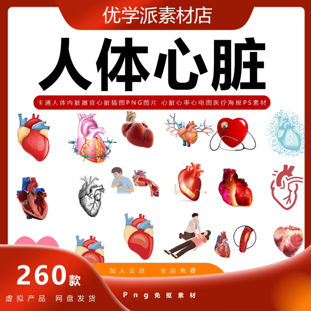 卡通心脏人体内脏器官心脏插图 心脏心率心电图医疗PNG图片素材
