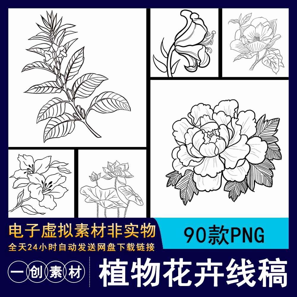 941手绘百合植物花卉临摹线稿速写铅笔黑白简笔画素描手稿PNG素材