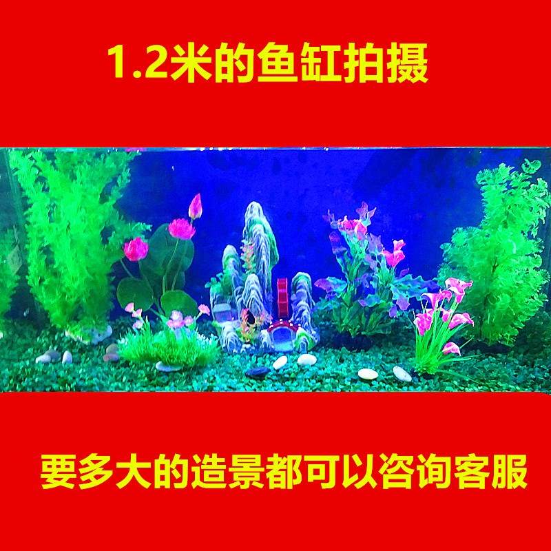鱼缸布景 1.2-1.5米假山水草草坪造景装饰摆件 水族装饰套餐包邮