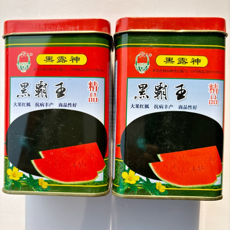 黑霸王西瓜种子新育成的杂交中熟耐重茬品种皮黑瓤红脆甜多汁耐热
